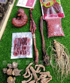 ����׳��/����ʪ�ݾ���