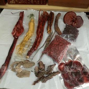 ����׳���̲��ݾ���(����ʪ)�ݾ���