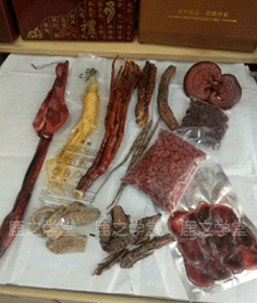 ����׳��/����ʪ�ݾ���